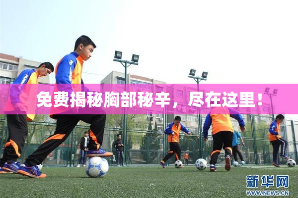 免费揭秘胸部秘辛，尽在这里！