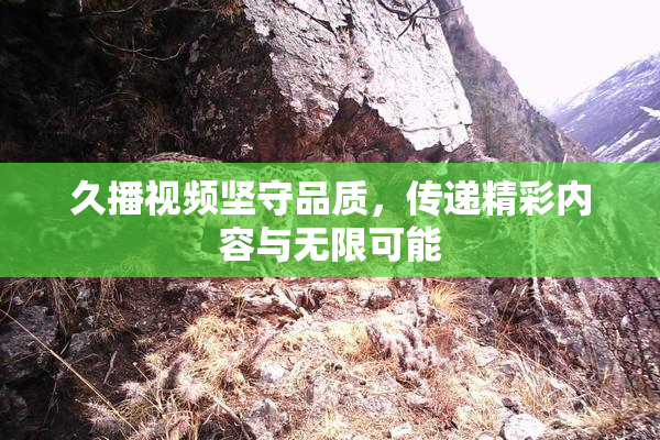 久播视频坚守品质，传递精彩内容与无限可能