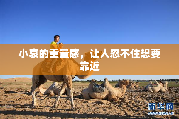 小哀的重量感，让人忍不住想要靠近