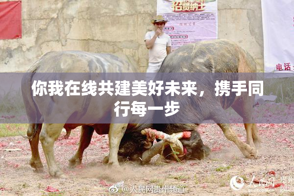 你我在线共建美好未来，携手同行每一步