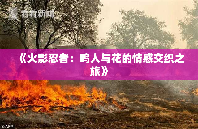 《火影忍者：鸣人与花的情感交织之旅》