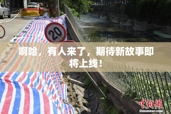 啊哈，有人来了，期待新故事即将上线！