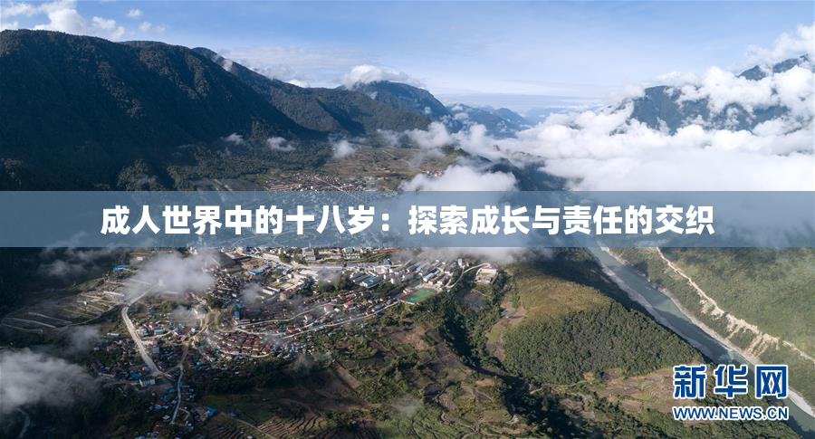 成人世界中的十八岁：探索成长与责任的交织