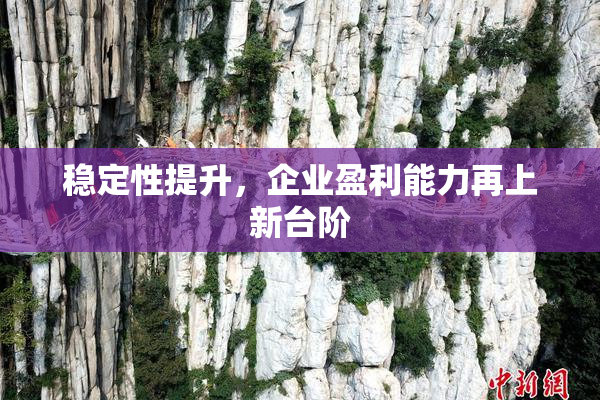 稳定性提升，企业盈利能力再上新台阶