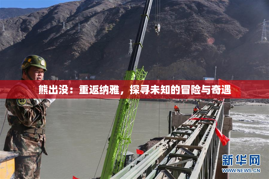 熊出没：重返纳雅，探寻未知的冒险与奇遇