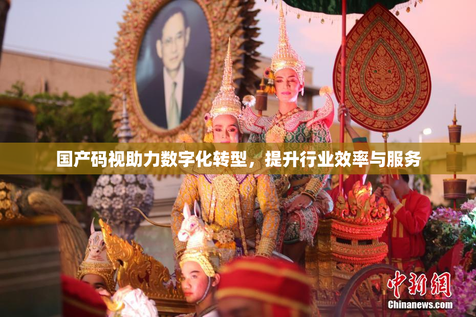 国产码视助力数字化转型，提升行业效率与服务