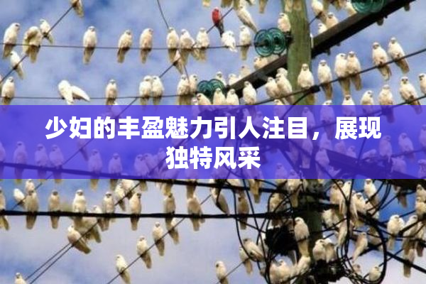 少妇的丰盈魅力引人注目，展现独特风采