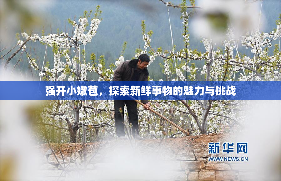 强开小嫩苞，探索新鲜事物的魅力与挑战