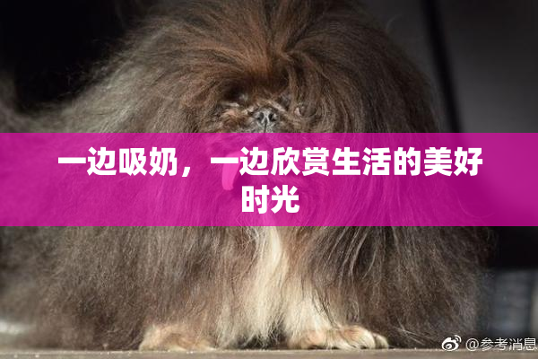 一边吸奶，一边欣赏生活的美好时光