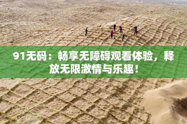 91无码：畅享无障碍观看体验，释放无限激情与乐趣！