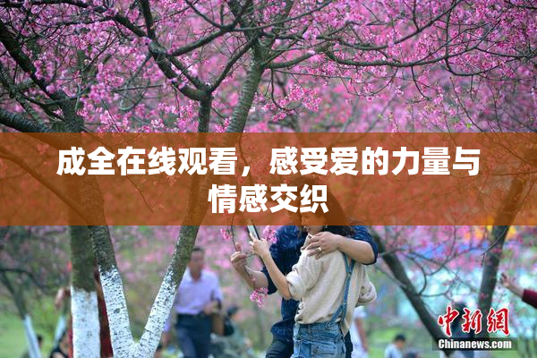 成全在线观看，感受爱的力量与情感交织