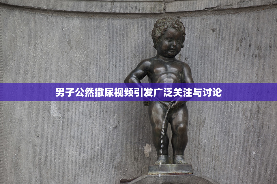 男子公然撒尿视频引发广泛关注与讨论