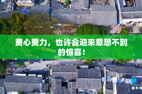 费心费力，也许会迎来意想不到的惊喜！