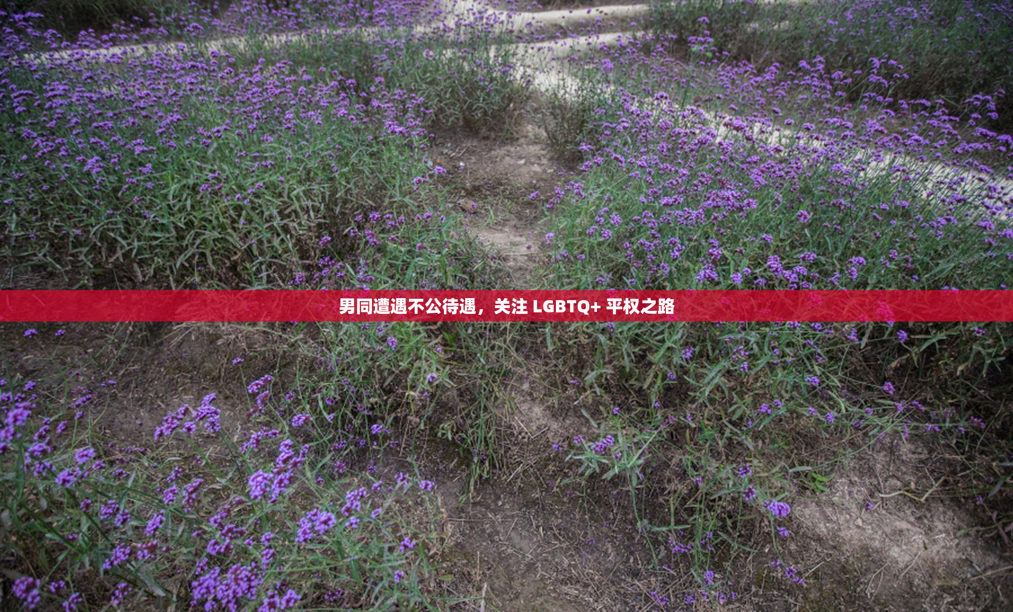 男同遭遇不公待遇，关注 LGBTQ+ 平权之路
