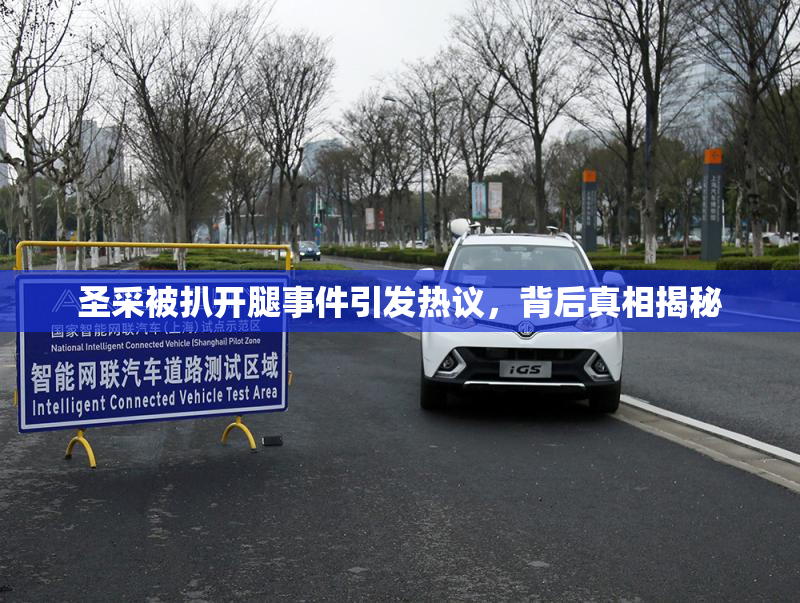 圣采被扒开腿事件引发热议，背后真相揭秘
