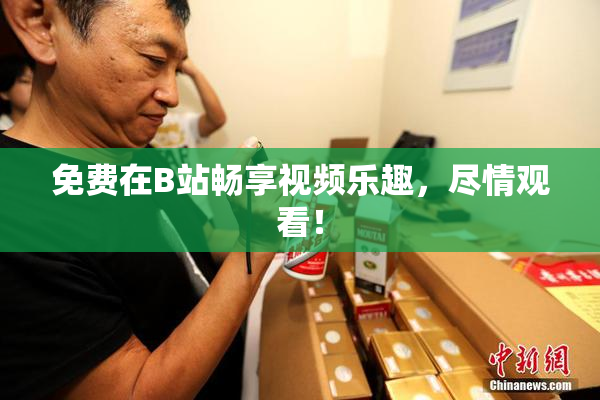 免费在B站畅享视频乐趣，尽情观看！