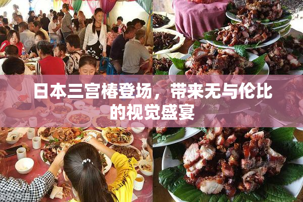日本三宫椿登场，带来无与伦比的视觉盛宴