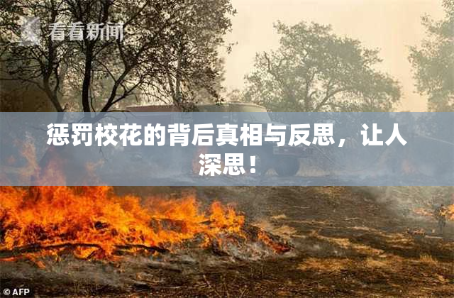 惩罚校花的背后真相与反思，让人深思！