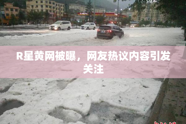 R星黄网被曝，网友热议内容引发关注