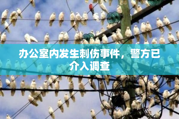 办公室内发生刺伤事件，警方已介入调查