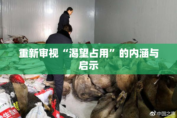 重新审视“渴望占用”的内涵与启示