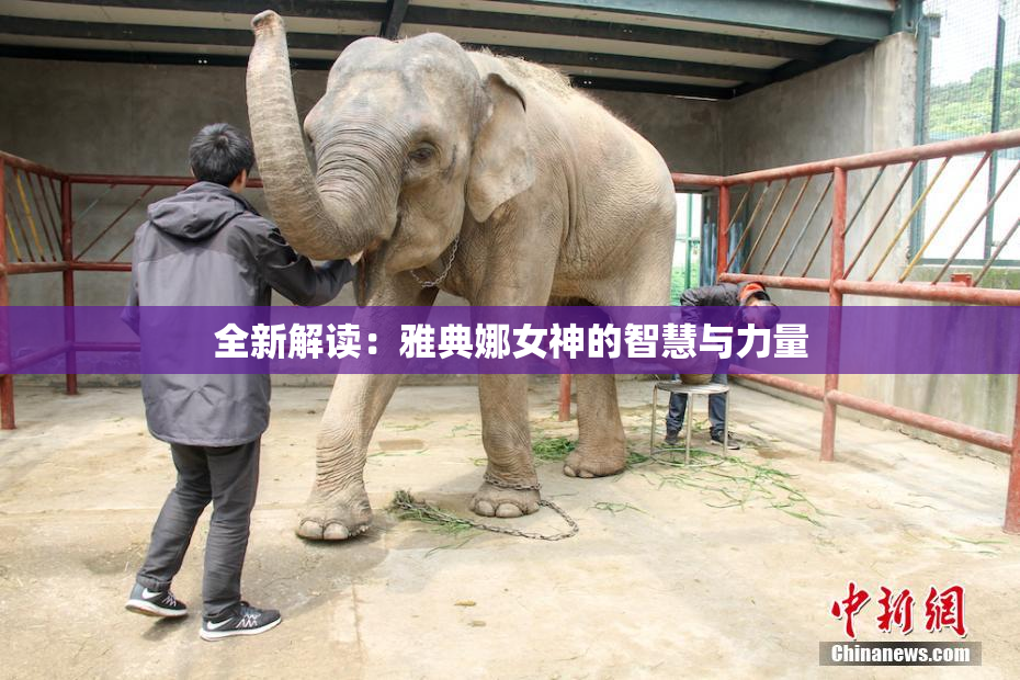 全新解读：雅典娜女神的智慧与力量