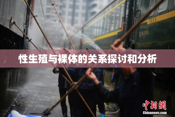 性生殖与裸体的关系探讨和分析