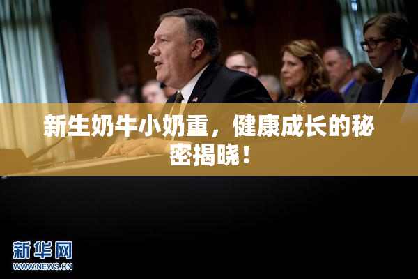 新生奶牛小奶重，健康成长的秘密揭晓！