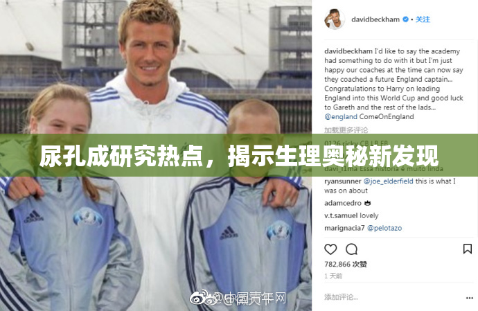 尿孔成研究热点，揭示生理奥秘新发现
