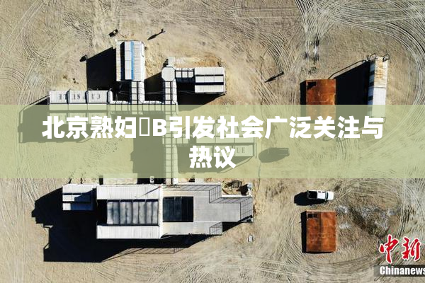 北京熟妇槡B引发社会广泛关注与热议