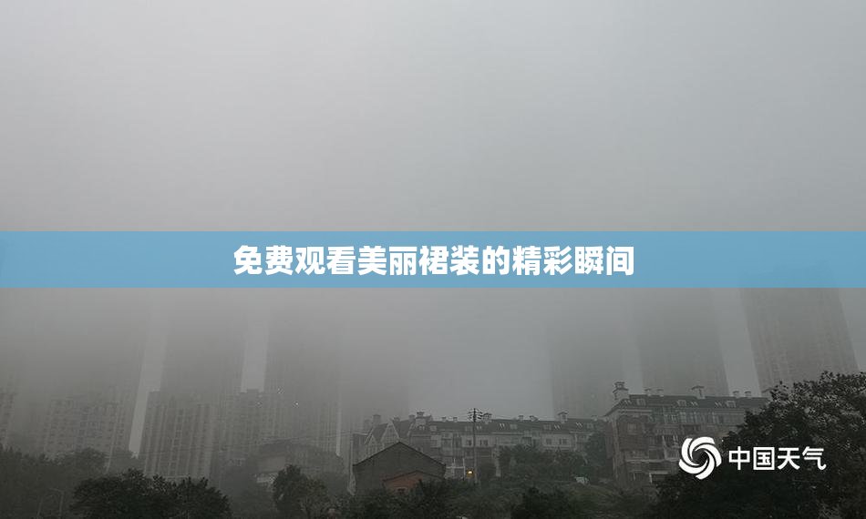 免费观看美丽裙装的精彩瞬间
