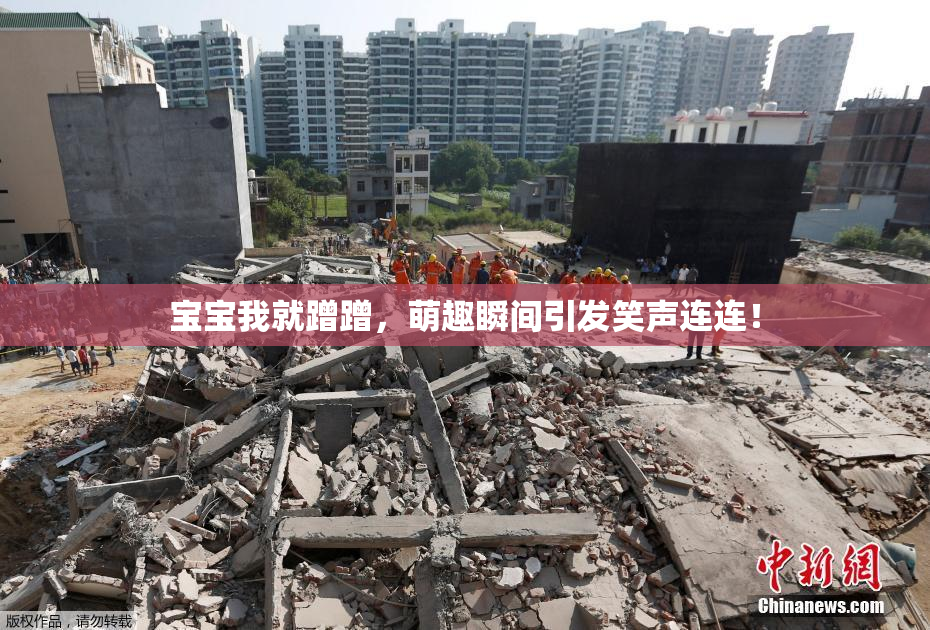 宝宝我就蹭蹭，萌趣瞬间引发笑声连连！