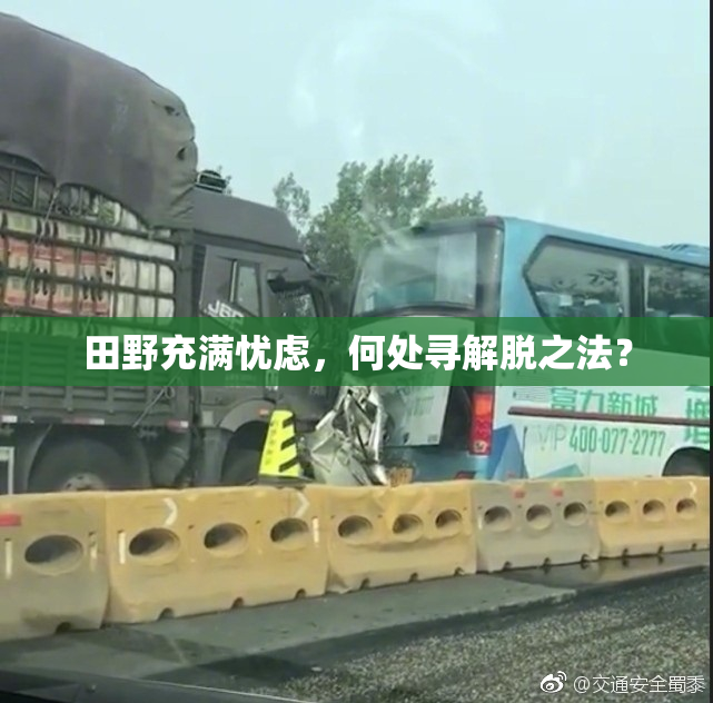 田野充满忧虑，何处寻解脱之法？