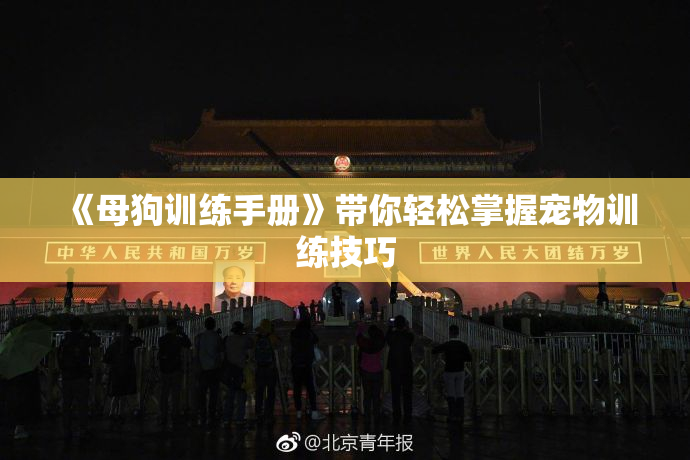 《母狗训练手册》带你轻松掌握宠物训练技巧