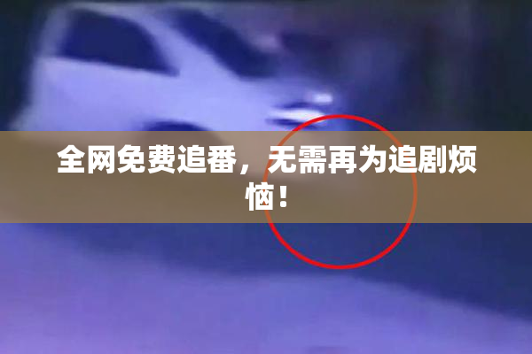 全网免费追番，无需再为追剧烦恼！