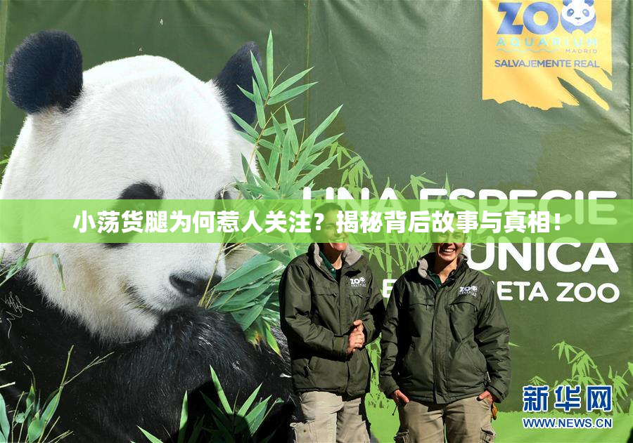 小荡货腿为何惹人关注？揭秘背后故事与真相！