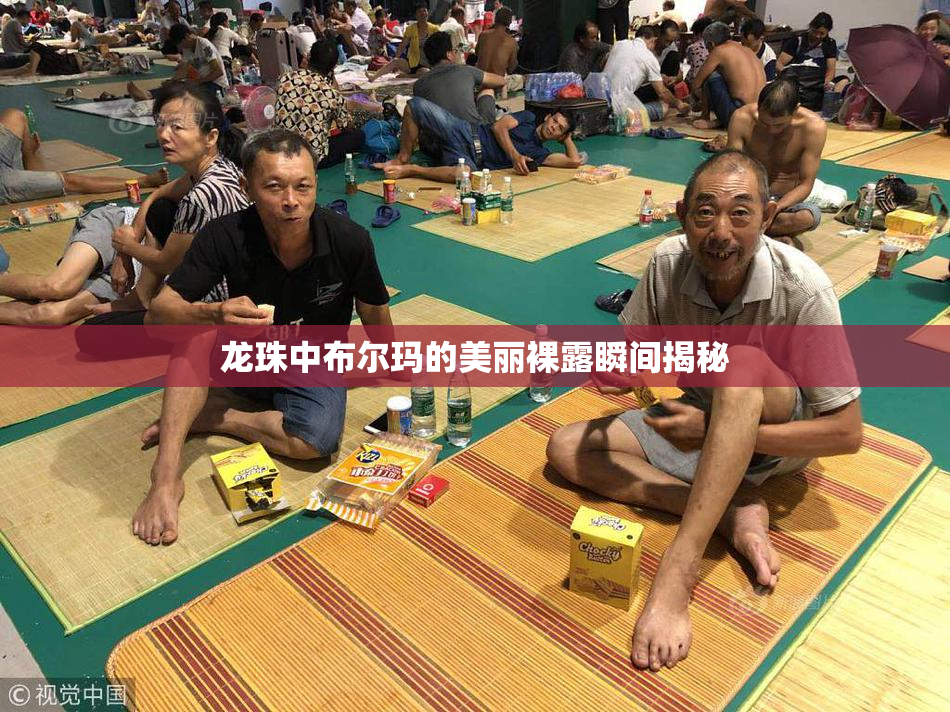 龙珠中布尔玛的美丽裸露瞬间揭秘