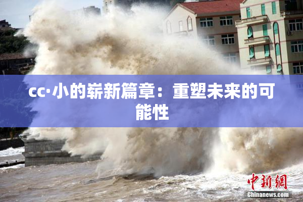 cc·小的崭新篇章：重塑未来的可能性