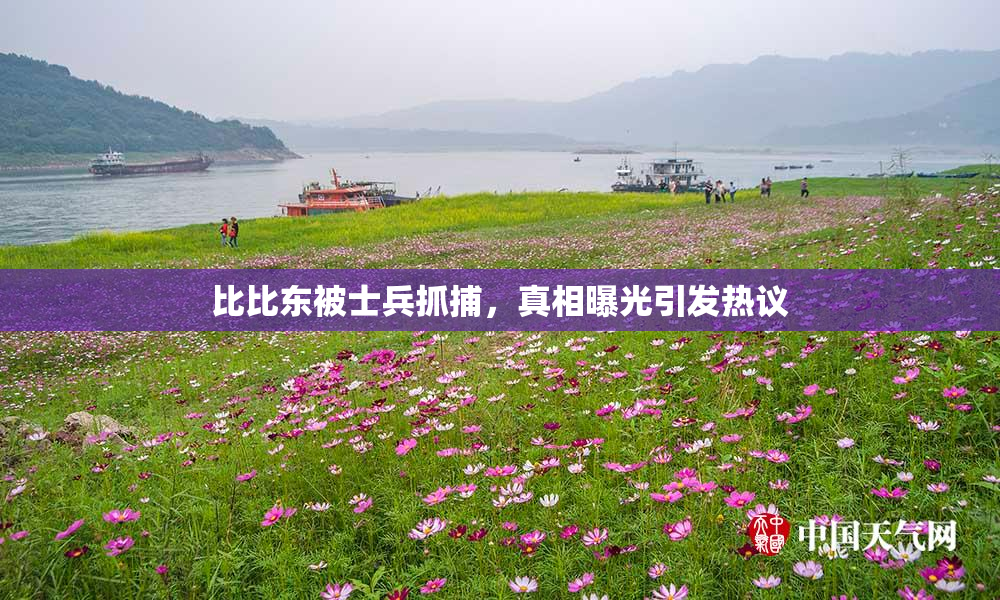 比比东被士兵抓捕，真相曝光引发热议