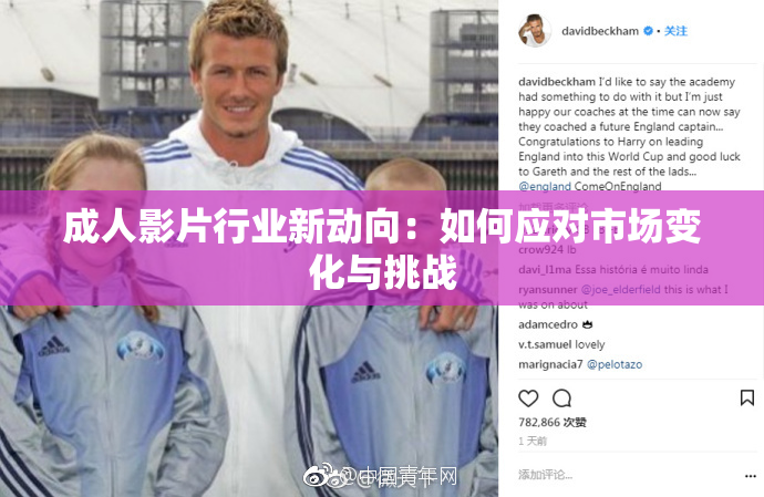 成人影片行业新动向：如何应对市场变化与挑战