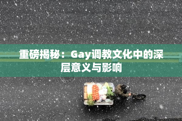 重磅揭秘：Gay调教文化中的深层意义与影响