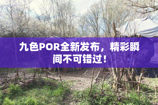 九色POR全新发布，精彩瞬间不可错过！