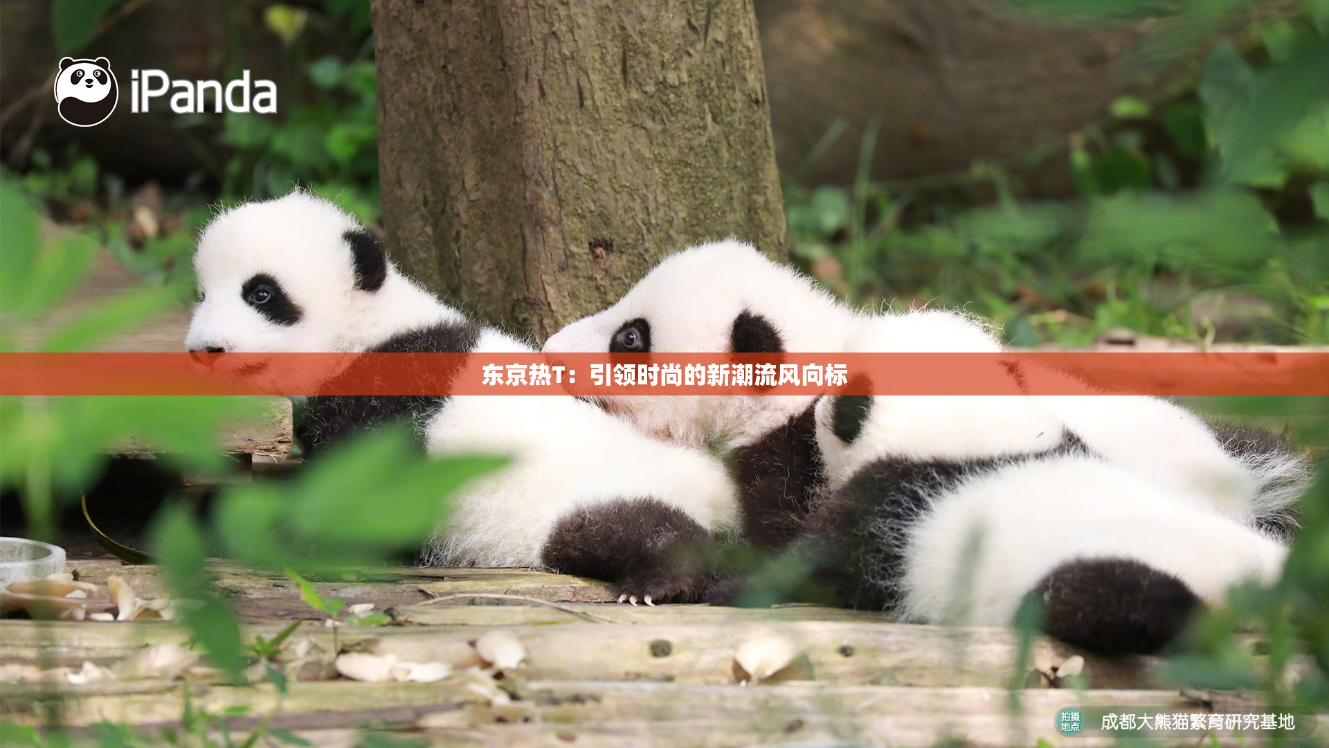 东京热T：引领时尚的新潮流风向标