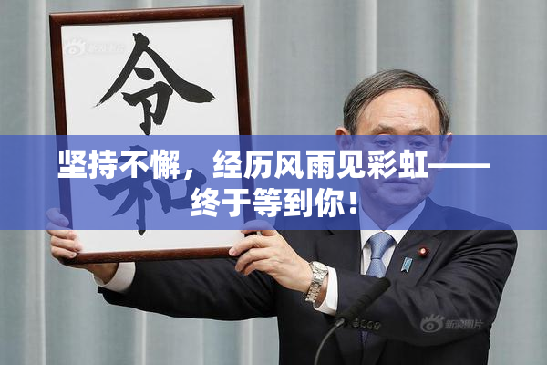 坚持不懈，经历风雨见彩虹——终于等到你！