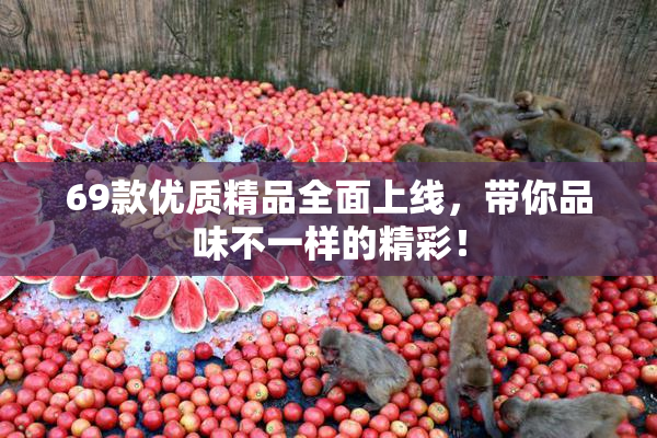 69款优质精品全面上线，带你品味不一样的精彩！