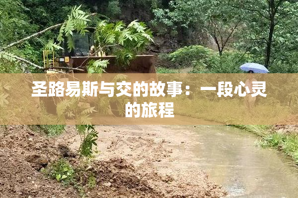 圣路易斯与交的故事：一段心灵的旅程