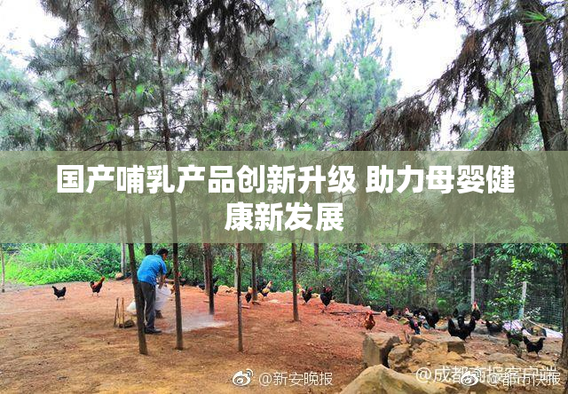 国产哺乳产品创新升级 助力母婴健康新发展