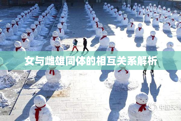 女与雌雄同体的相互关系解析