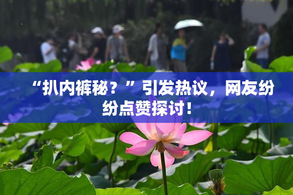 “扒内裤秘？”引发热议，网友纷纷点赞探讨！