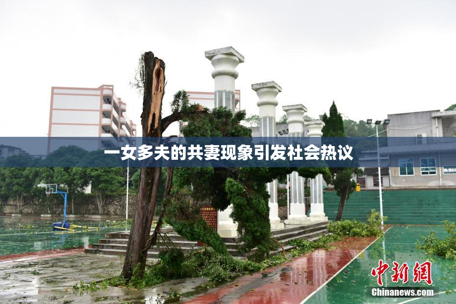 一女多夫的共妻现象引发社会热议